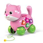 Игрушка Азбукварик каталка