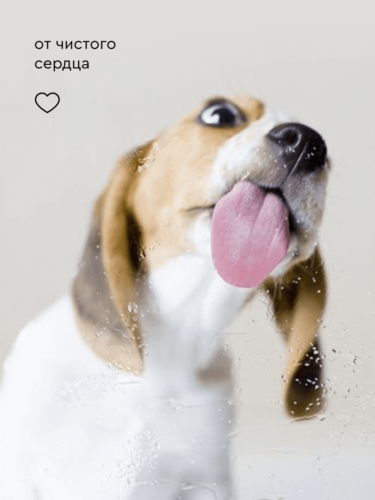 Кератиновая маска Keralive ProAnimal универсальный профессиональный восстанавливающий для собак - фото 7