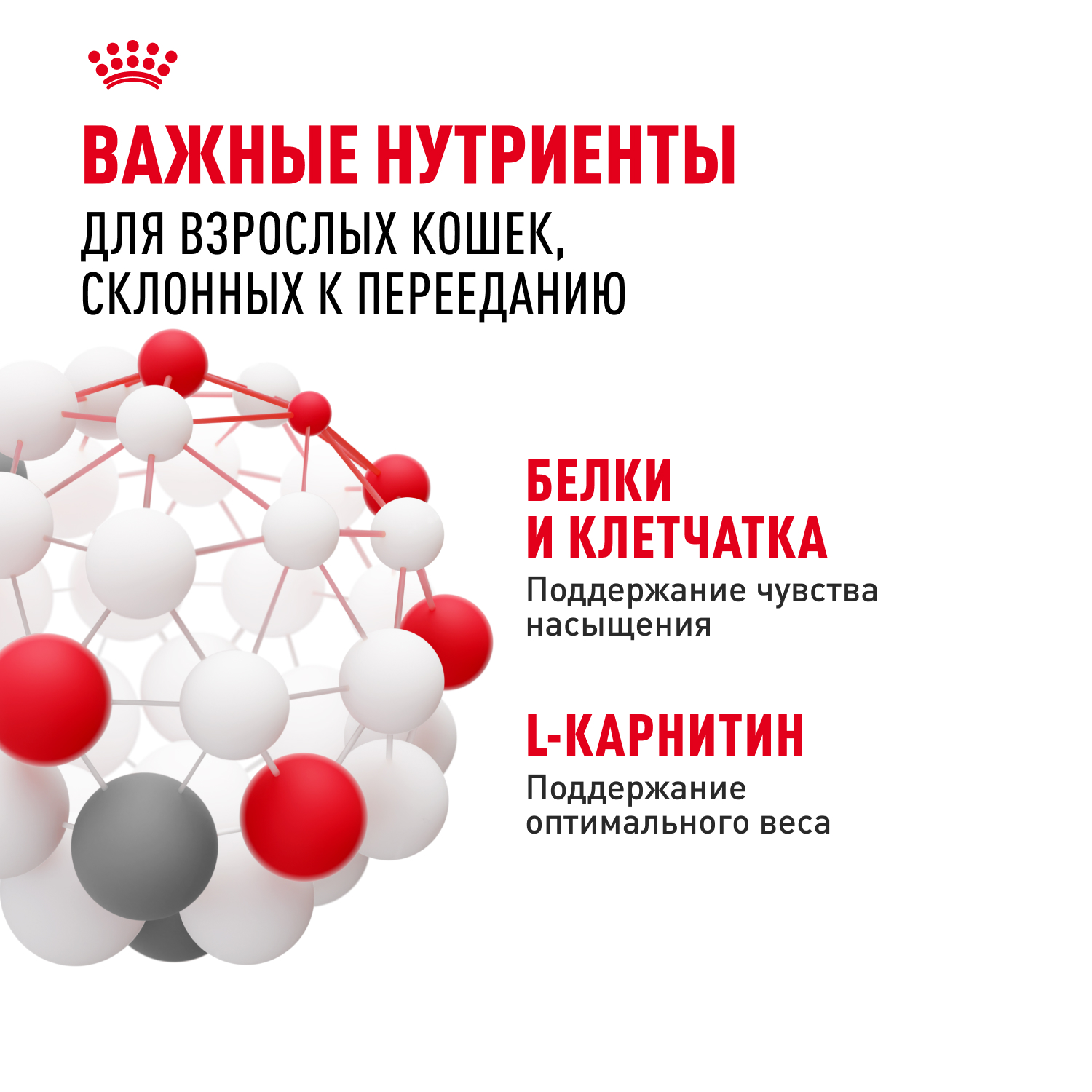 Корм для кошек ROYAL CANIN Care Аппетайт контроль соус пауч 85г - фото 5