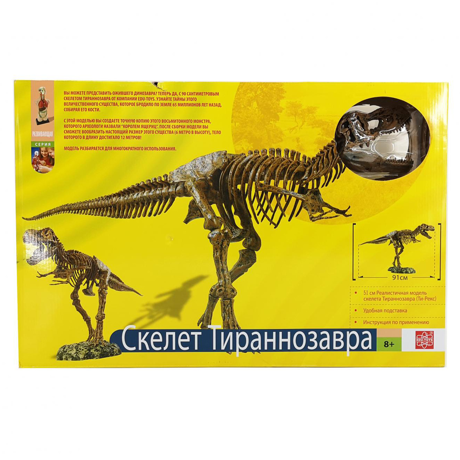 Наглядное пособие EDU-TOYS - фото 2