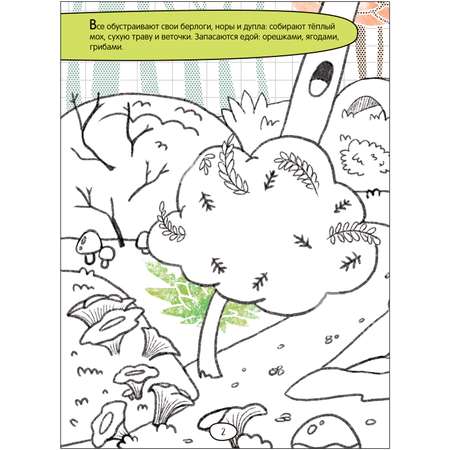 Книга МОЗАИКА kids Лесная сказка