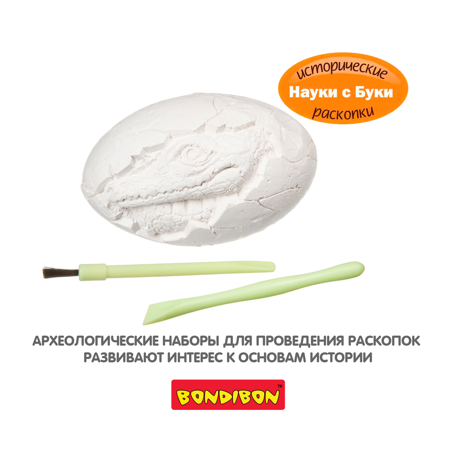 Набор для раскопок Bondibon палеонтология: Яйцо крокодила - фото 9