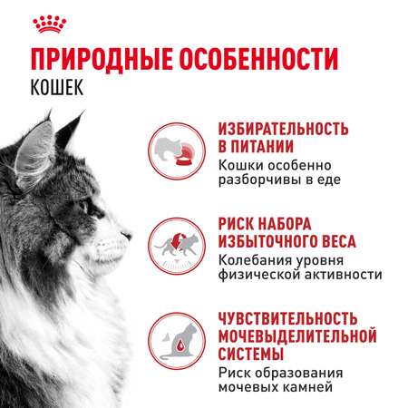 Корм влажный для кошек ROYAL CANIN Instinctive 85г желе пауч 77848