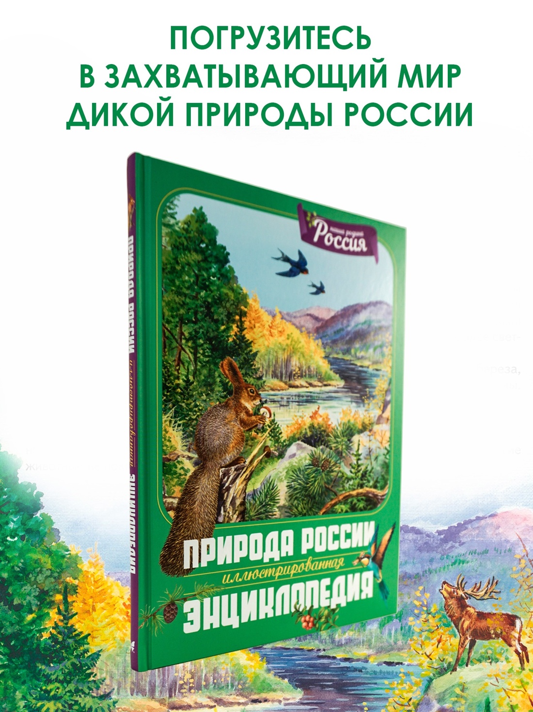 Книга Махаон Наша родина - Россия. Большой комплект из 7 книг - фото 4