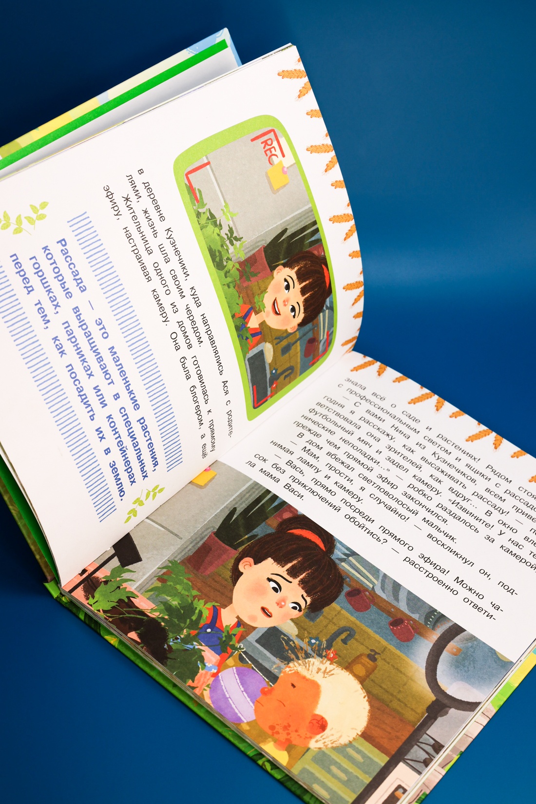 Книга Махаон МУЛЬТиЧ/Кияшев С./Ася и Вася. Добро пожаловать в Кузнечики! - фото 6