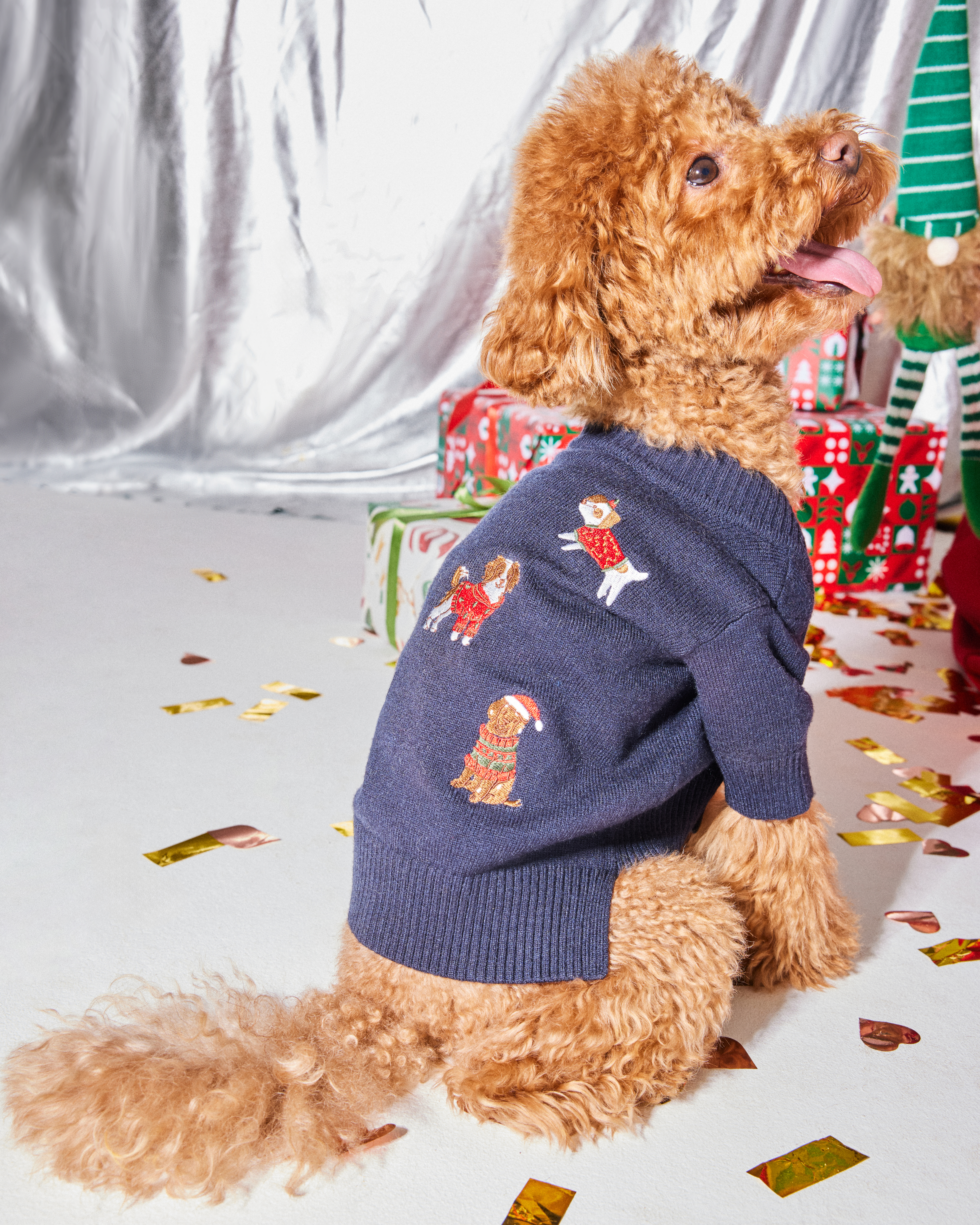 Джемпер для собак и кошек Зоозавр - фото 1