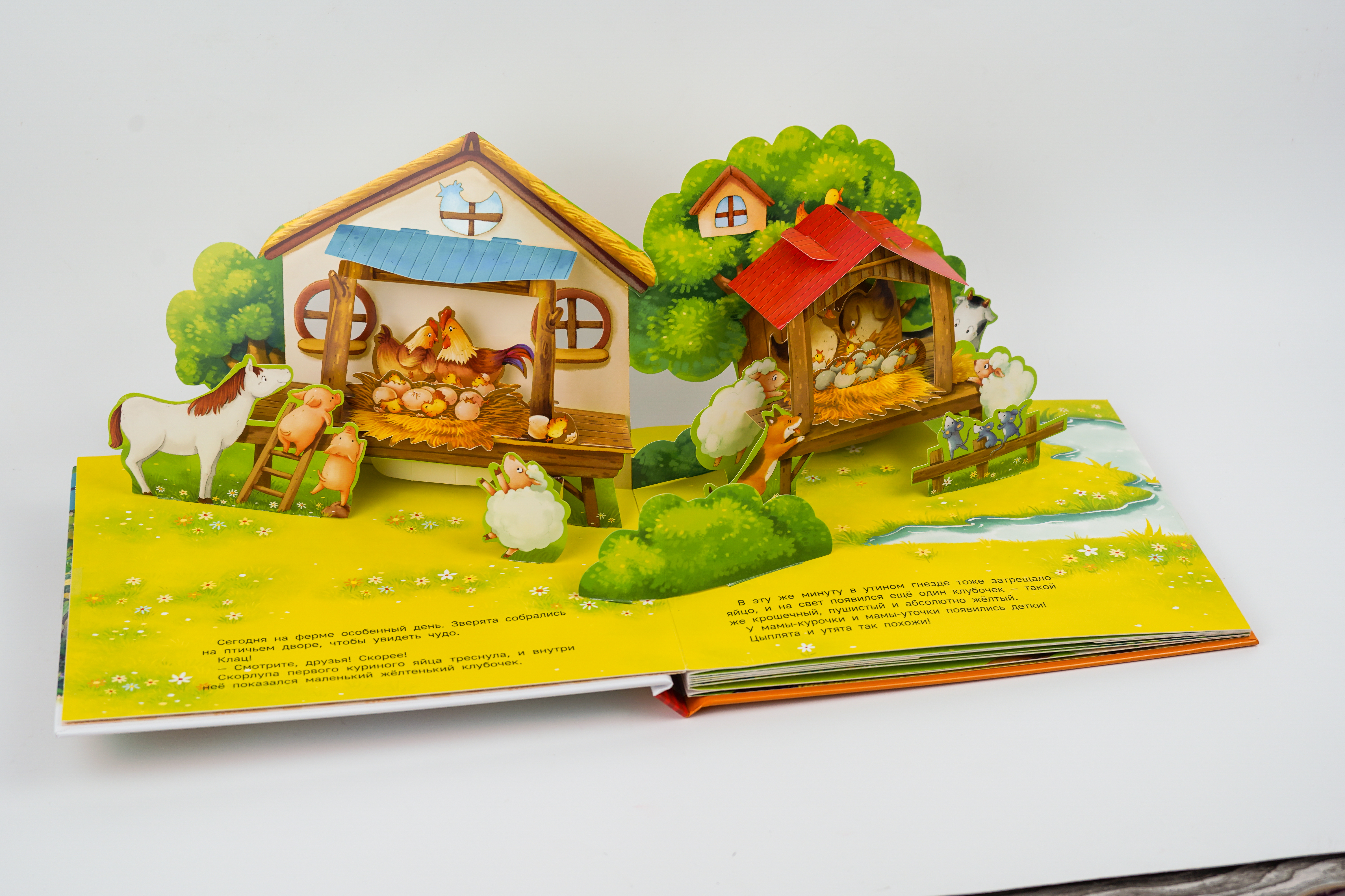 Книга АСТ Приключения на ферме - фото 2