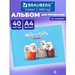 Альбом Brauberg А4 40 лист.