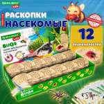 Набор для раскопок Brauberg