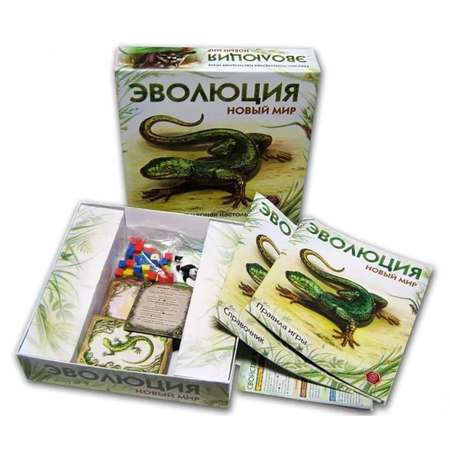 Настольная игра Правильные Игры