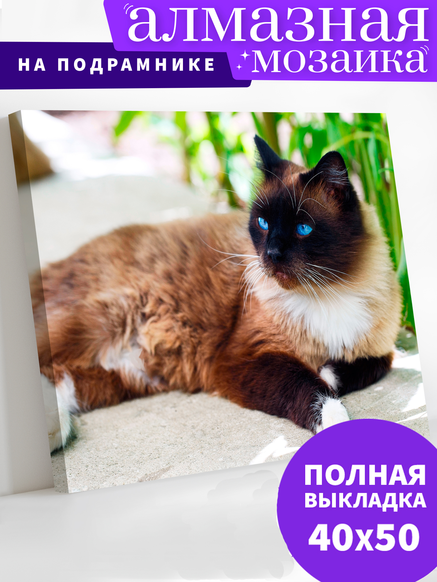 Алмазная мозаика Art on Canvas Сиамская кошка в ассортименте - фото 1