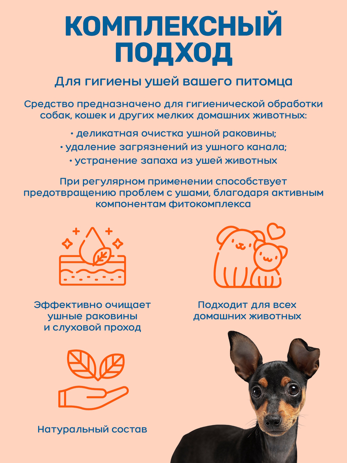 Лосьон ZOORIK для ушей с активным фитокомплексом и Д-пантенолом 50 мл - фото 2