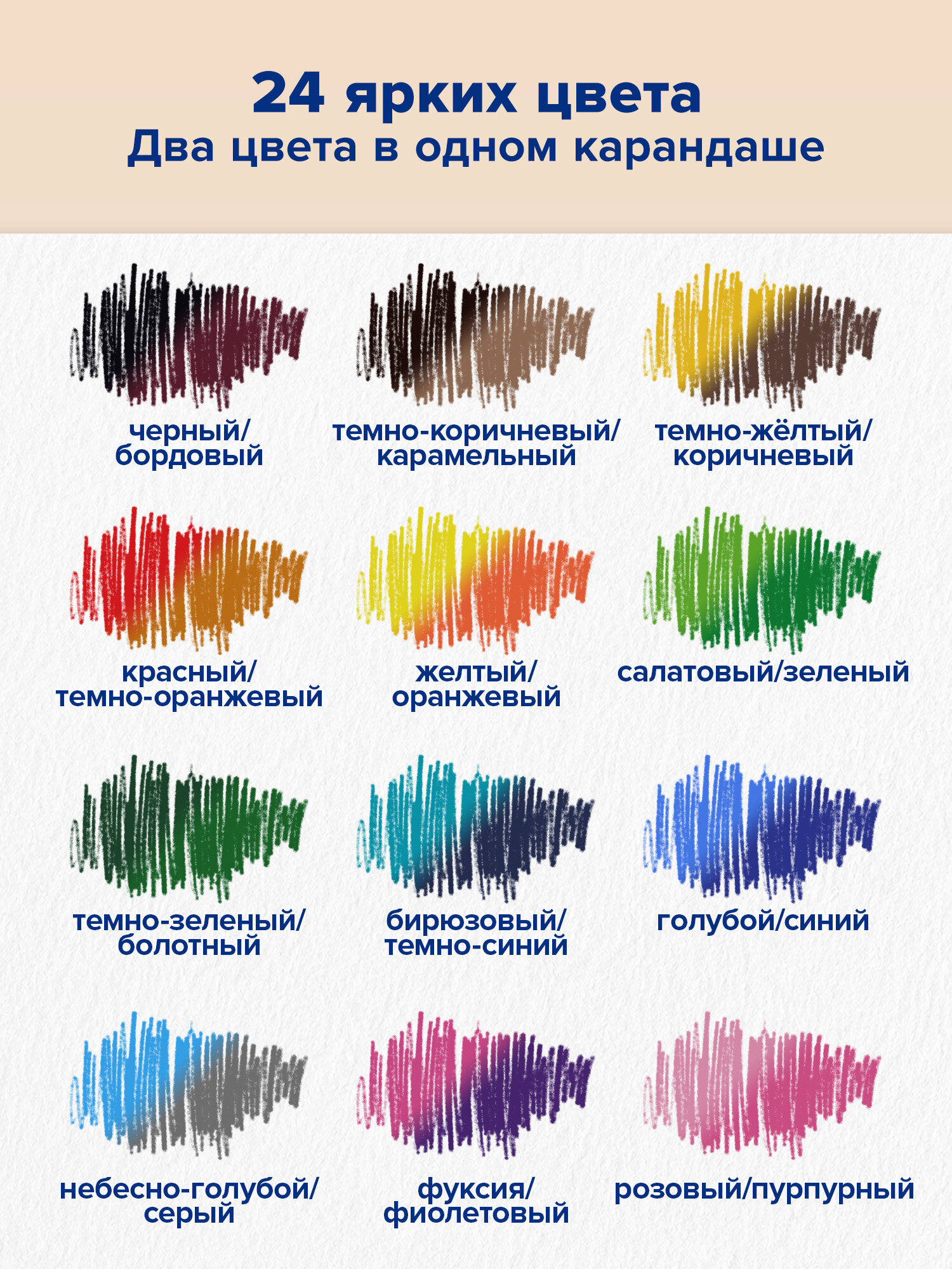 Карандаши цветные Brauberg 24 шт. - фото 2