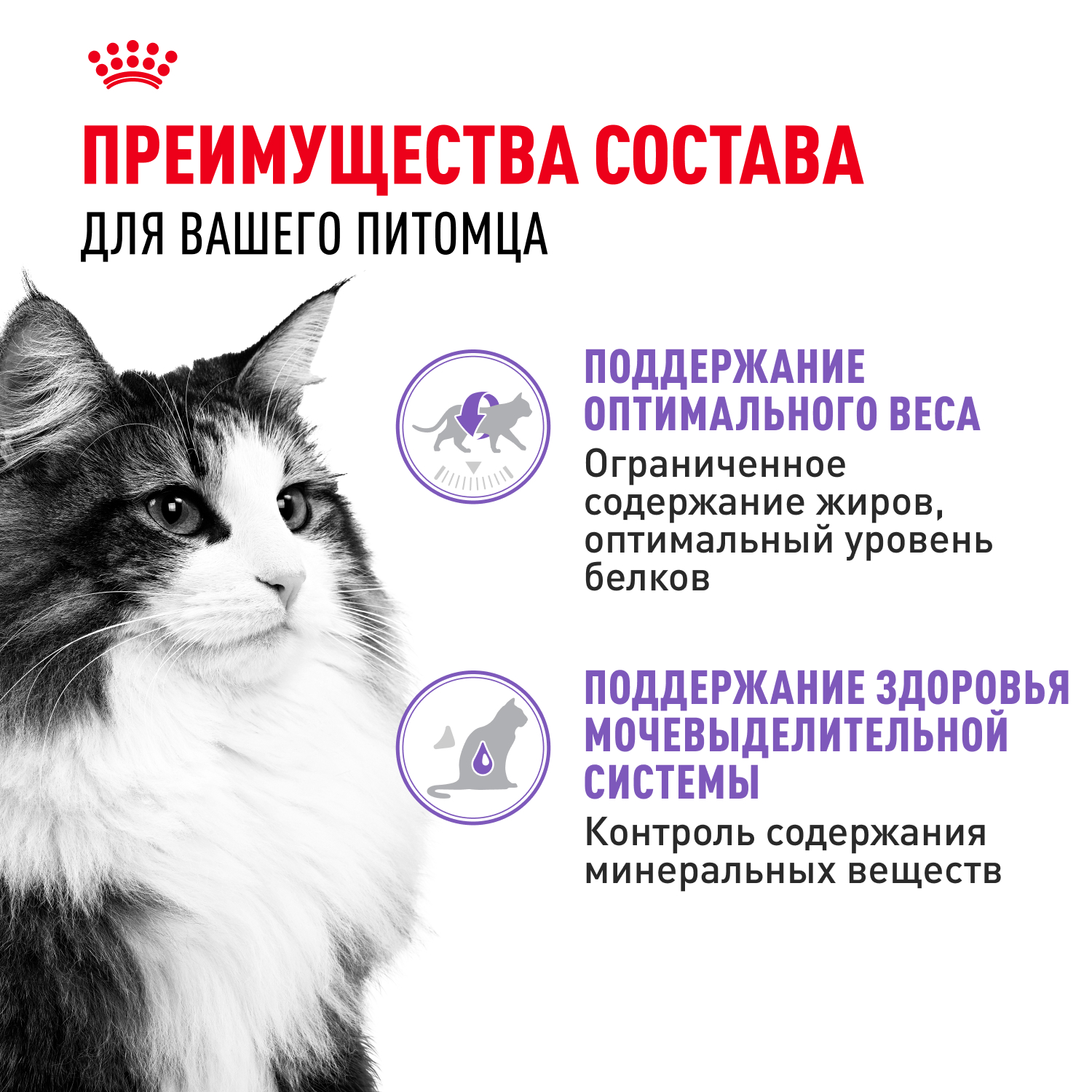 Корм для кошек ROYAL CANIN Indoor Sterilised для взрослых стерилизованных паштет 85г - фото 3