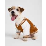 Изображение товара Бомбер для собак и кошек Зоозавр: S