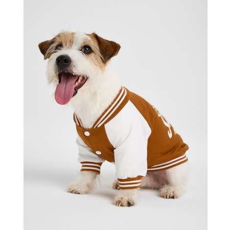 Бомбер для собак и кошек Зоозавр