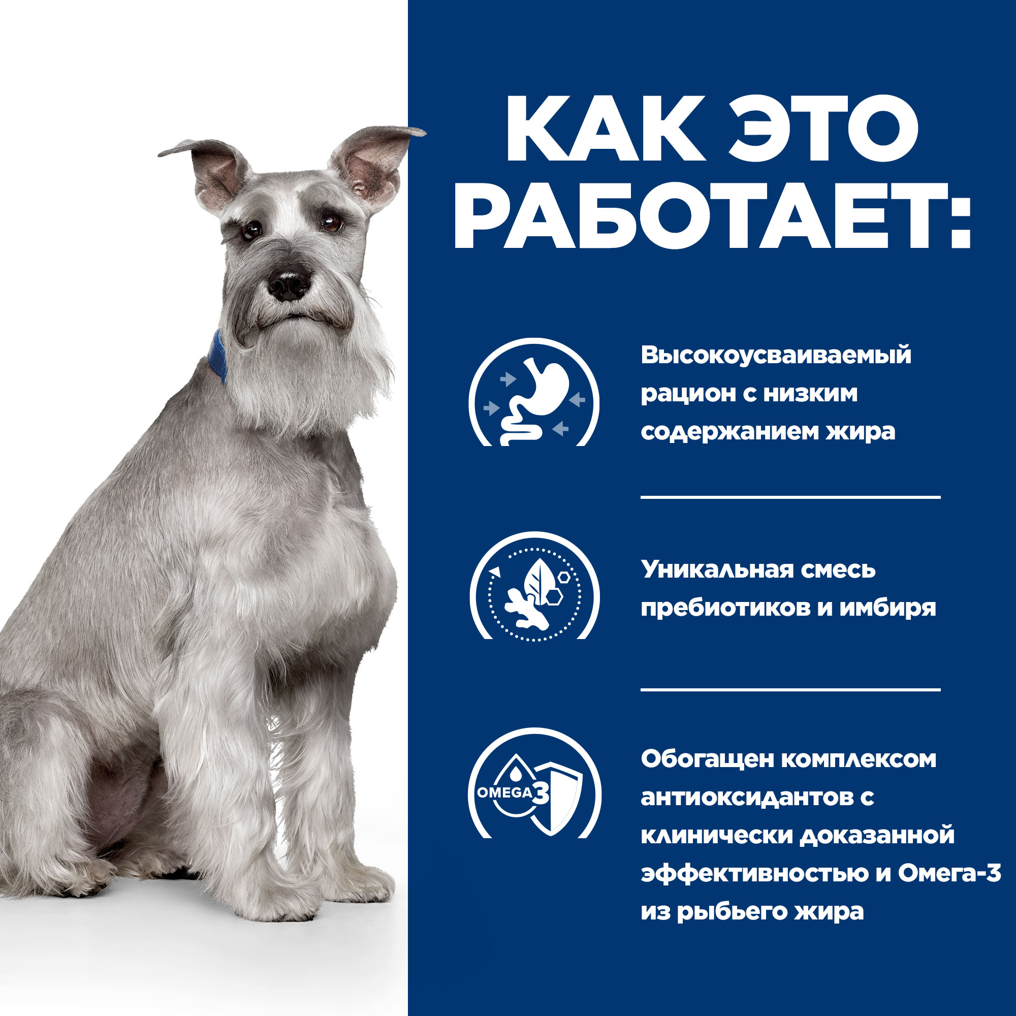 Корм для собак Hills 200г Prescription Diet диетический i/d Low Fat с низким содержанием жира с курицей ж/б - фото 4