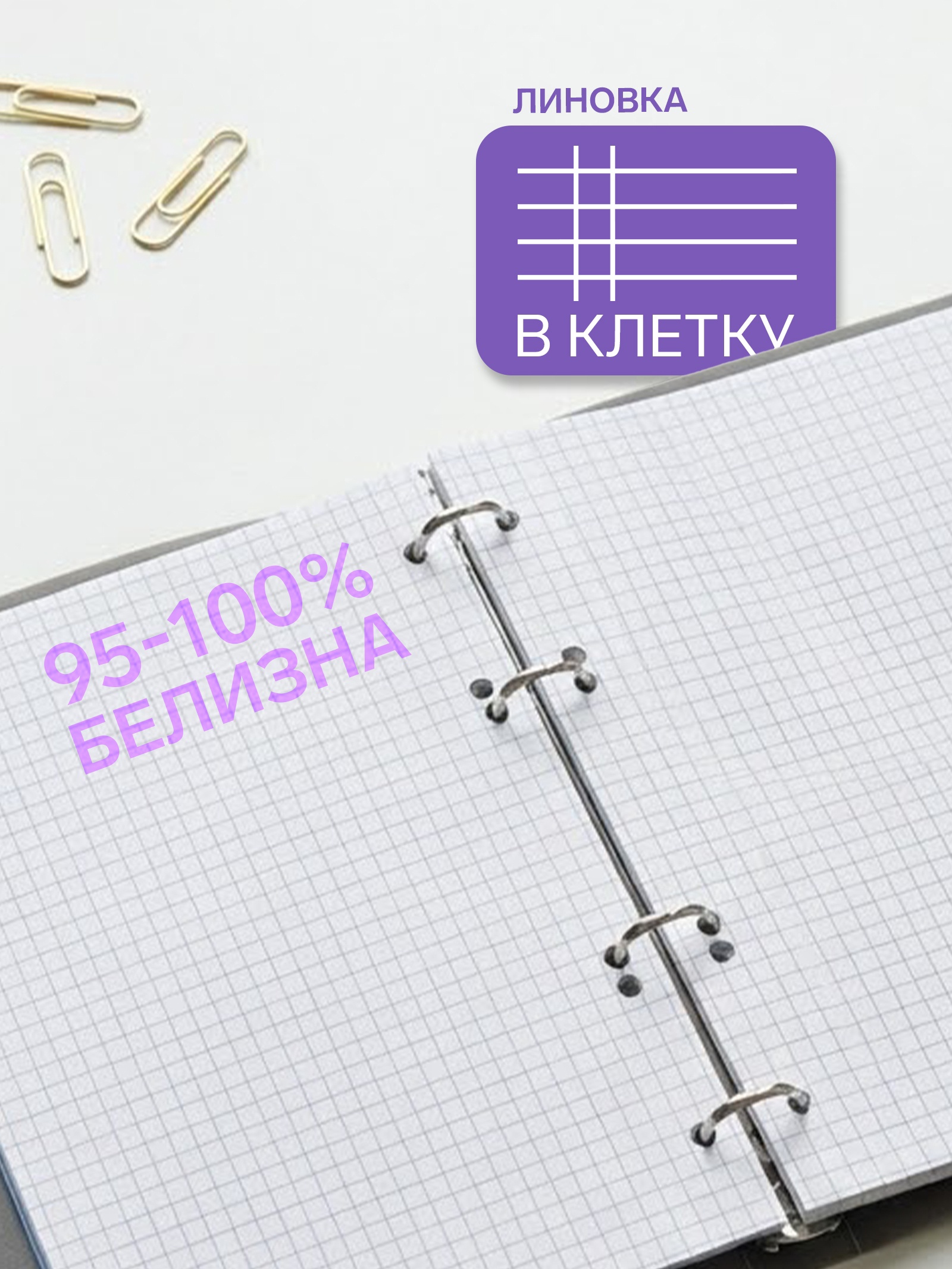 Тетрадь Calligrata клетка - фото 2