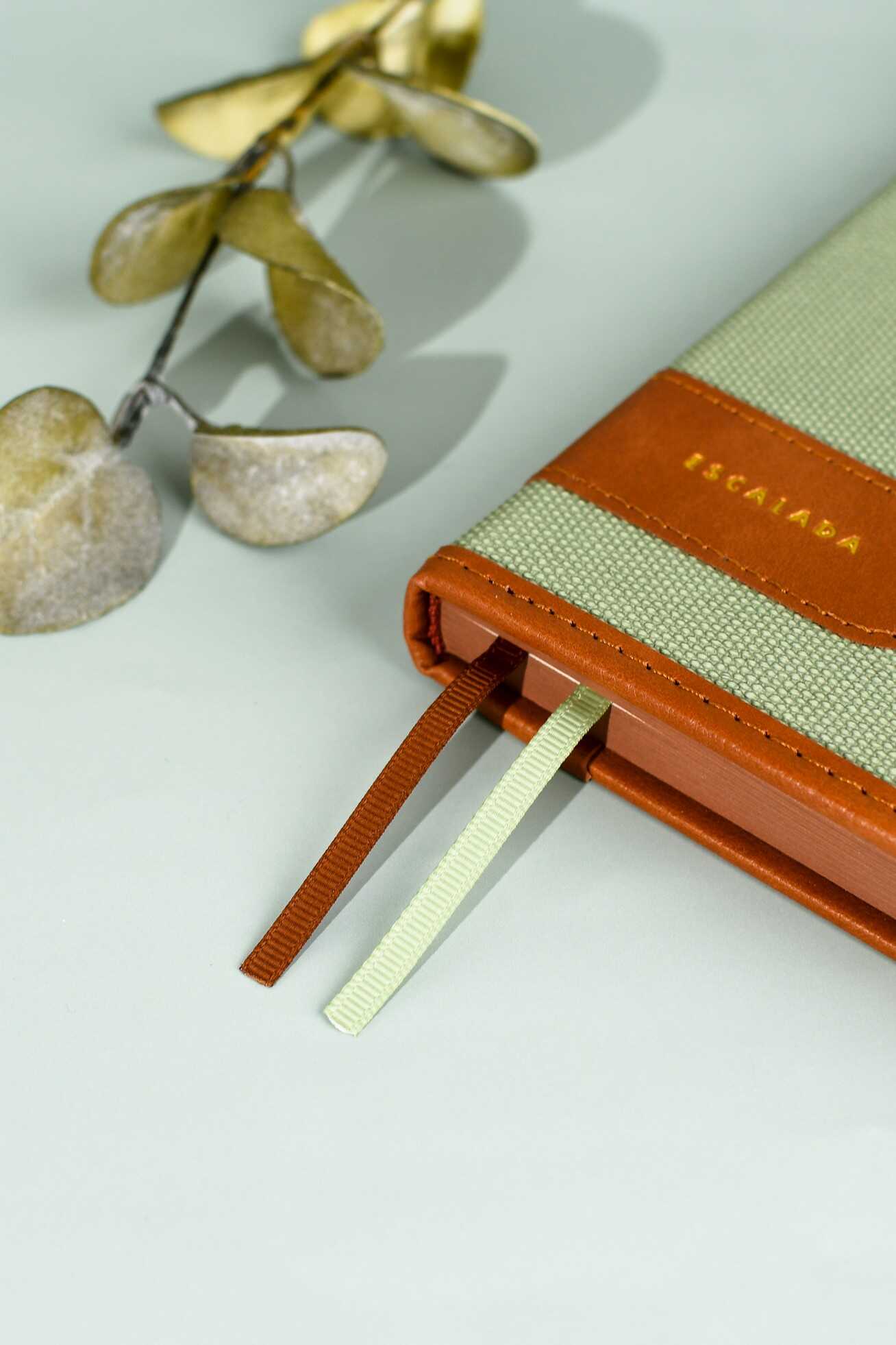 Ежедневник Феникс + ESCALADA 160 лист. - фото 10