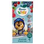 Сок ФрутоKids Яблоко-черноплодная рябина-малина-клюква-черника с 5 мес 0.2 л