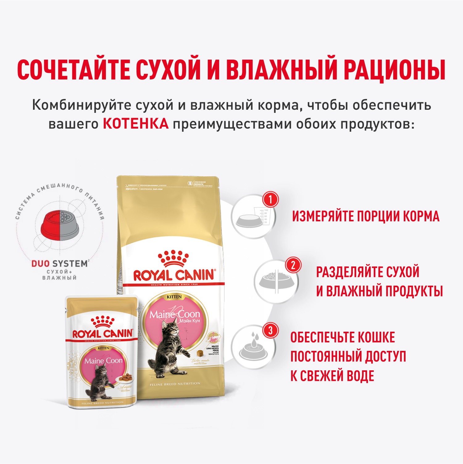 Корм для котят Royal Canin 85г Maine Coon Kitten соус для котят мейн кун пауч - фото 7