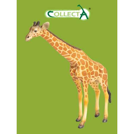 Фигурка Collecta Сетчатый жираф