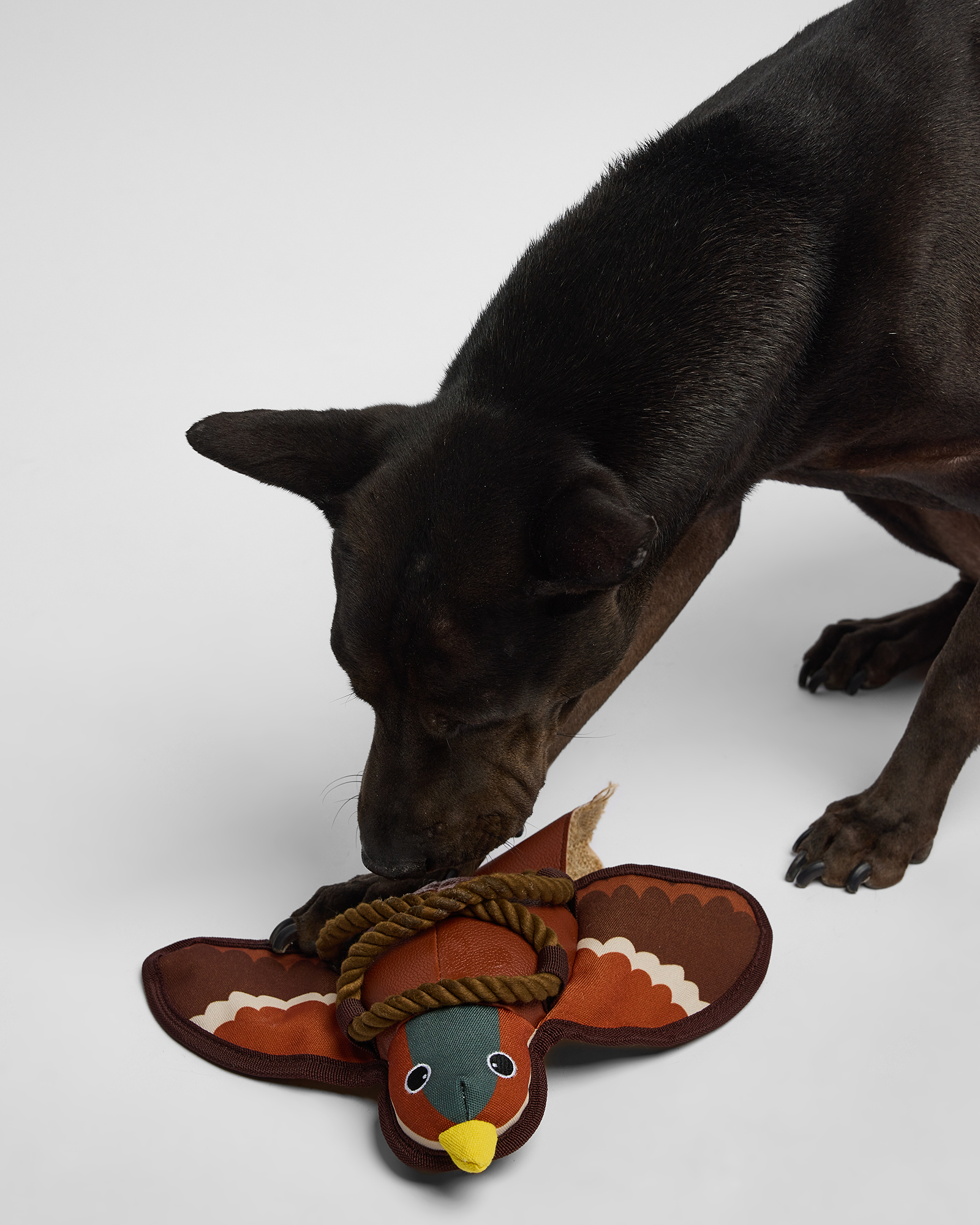 Игрушка для собак Barbaks Голубка Клавдия из кожи с канатиком 32*31см - фото 5