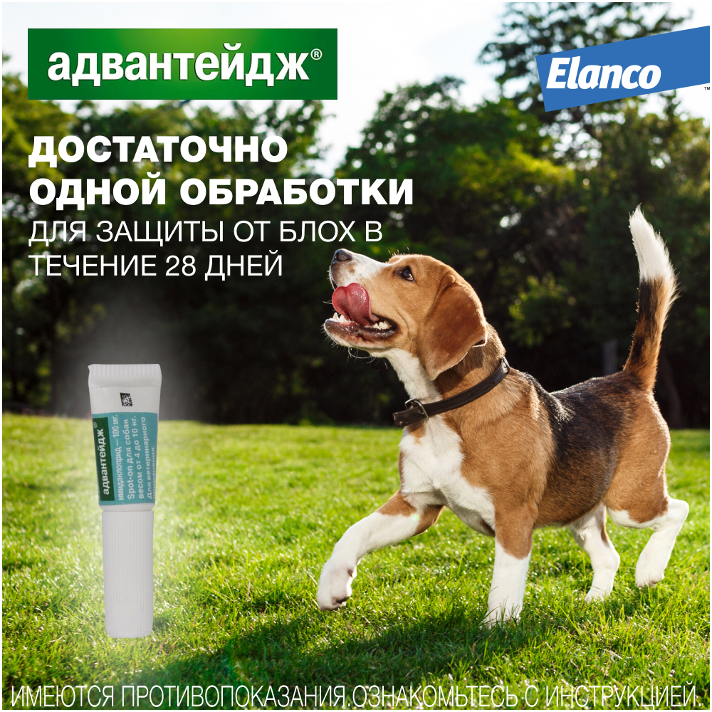 Капли для собак Elanco Адвантейдж против блох 4 пипетки - фото 5