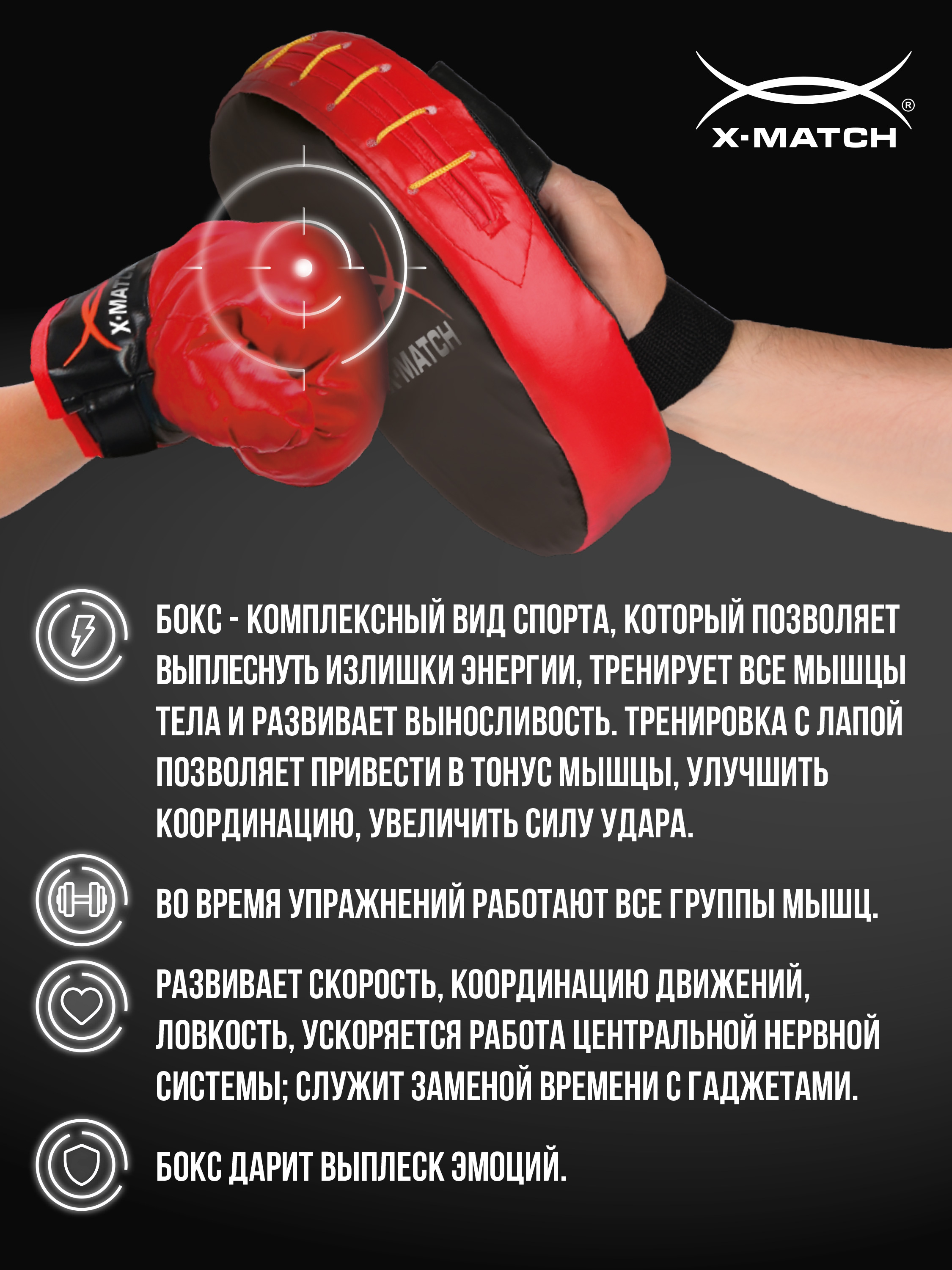 Набор для бокса X-Match перчатки 2 шт и лапа - фото 3