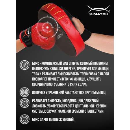 Набор для бокса X-Match перчатки 2 шт и лапа
