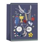 Пакет . Гендеры средний в ассортименте