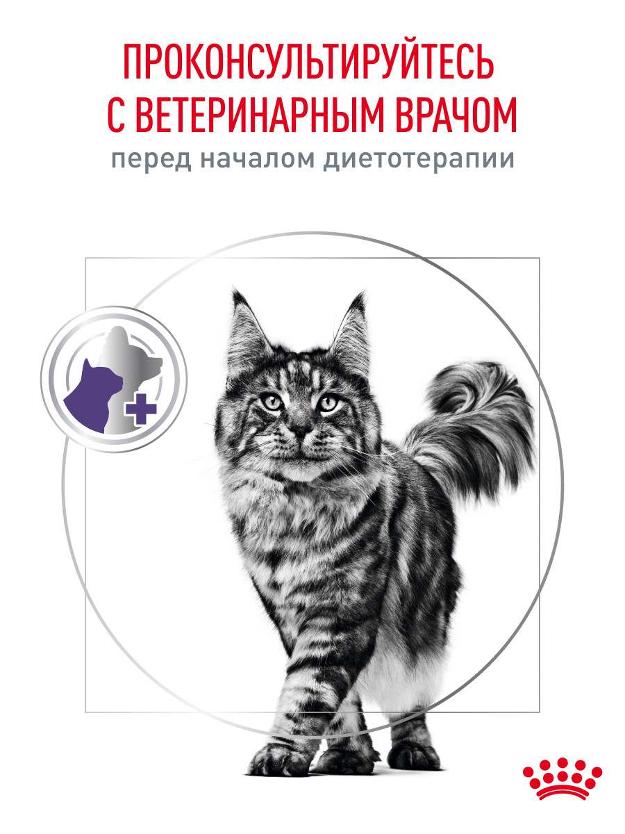 Корм для кошек ROYAL CANIN Neutered Maintenance 85г пауч - фото 9