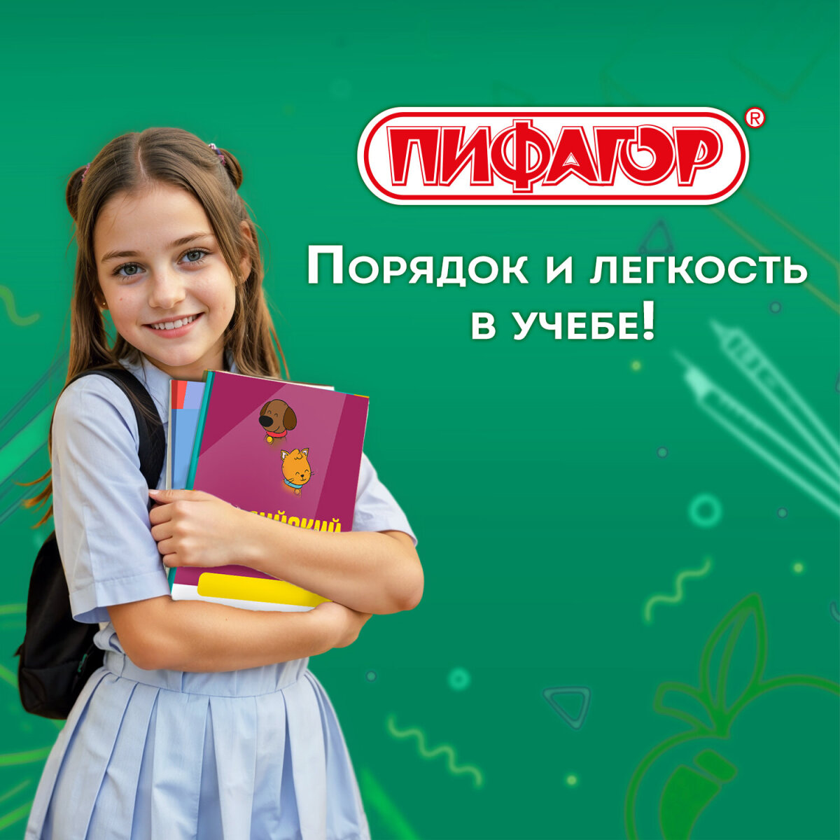 Обложка Пифагор 11 шт. - фото 7