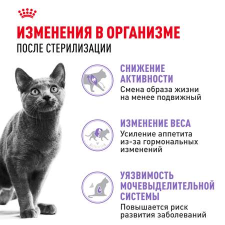 Корм ROYAL CANIN Sterilised 37 сухой 0.2кг для стерилизованных кошек