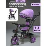 Трехколесный велосипед DinaMiX 10 дюймов