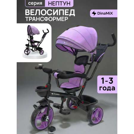 Трехколесный велосипед DinaMiX 10 дюймов