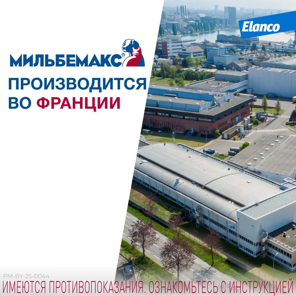 Антигельминтик для щенков и собак Elanco Мильбемакс малых пород 2таблетки - фото 8