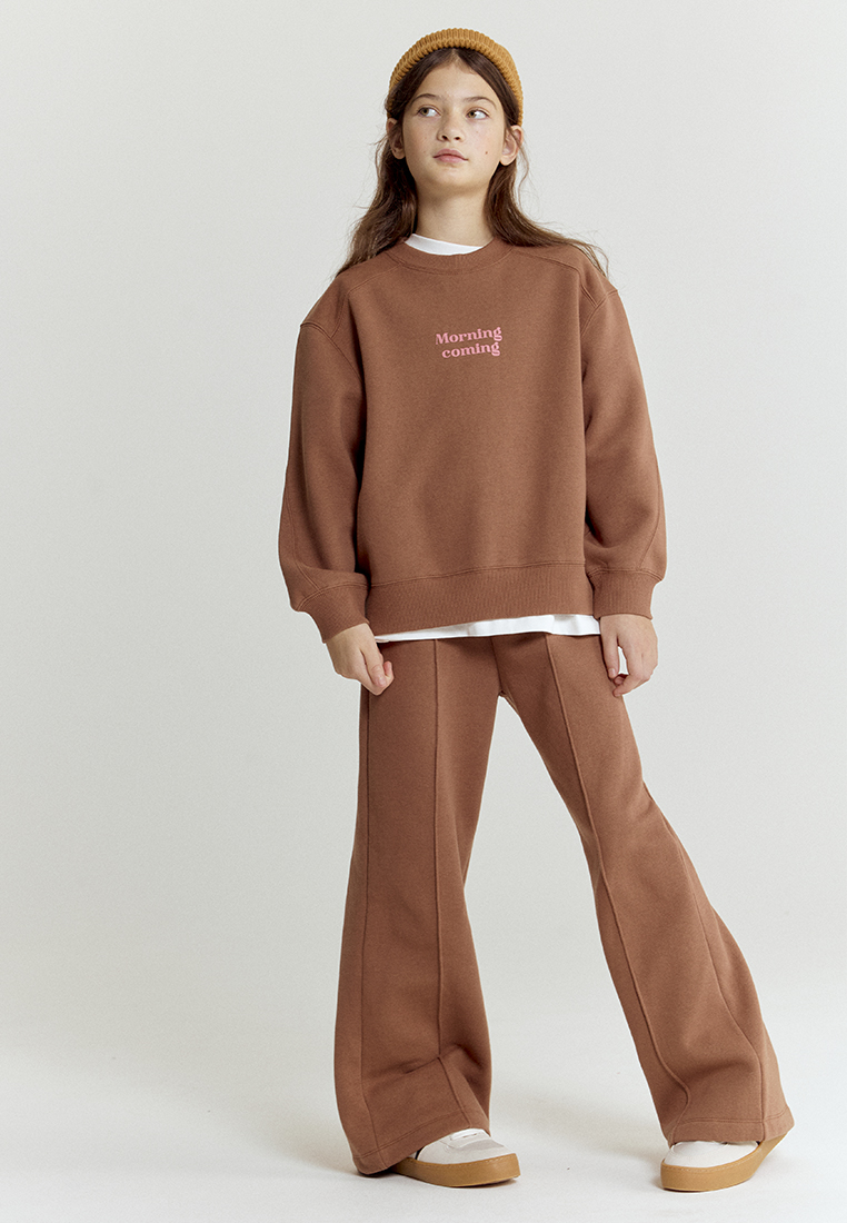 Свитшот artie W25K02T-1333D/Коричневый - фото 8