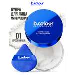 Пудра B.COLOUR PROFESSIONAL 01 Pearl