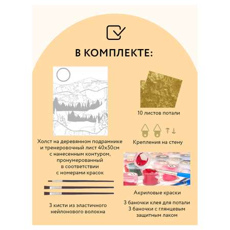 Картина по номерам ТРИ СОВЫ