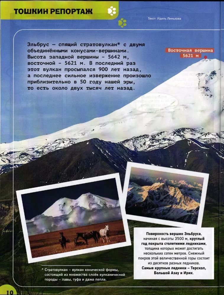 Набор из 2-х детских журналов ИД Лев №11 и №12 2024г - фото 6