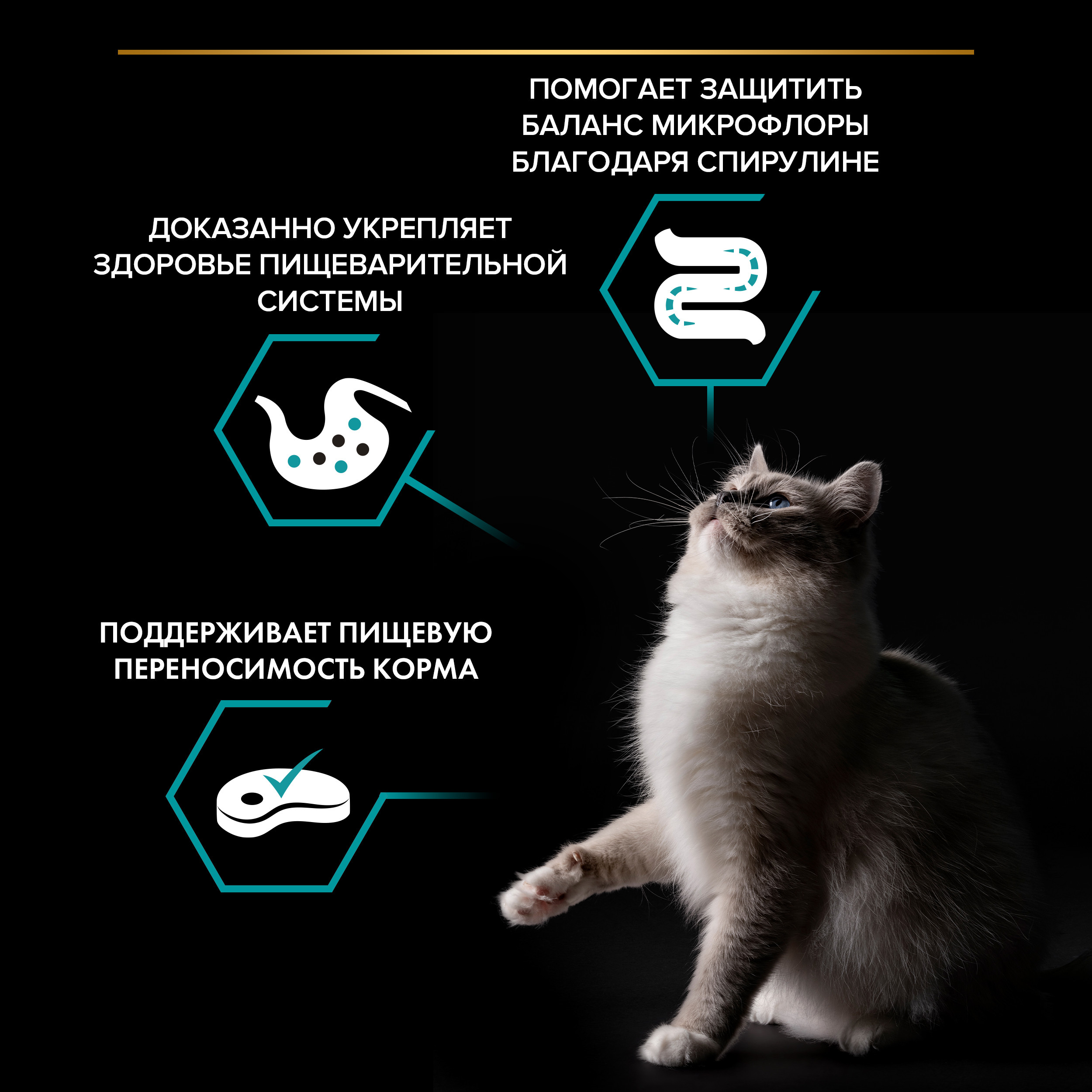 Корм для кошек PRO PLAN Nature Elements чувствительное пищеварение индейка 200г - фото 5