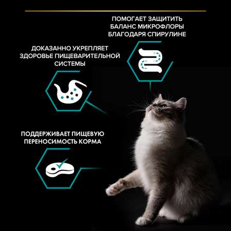 Корм для кошек PRO PLAN Nature Elements чувствительное пищеварение индейка 200г