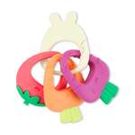 Прорезыватель Skip Hop игрушка силиконовый Фрукты