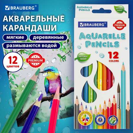Карандаши акварельные Brauberg 12 шт.