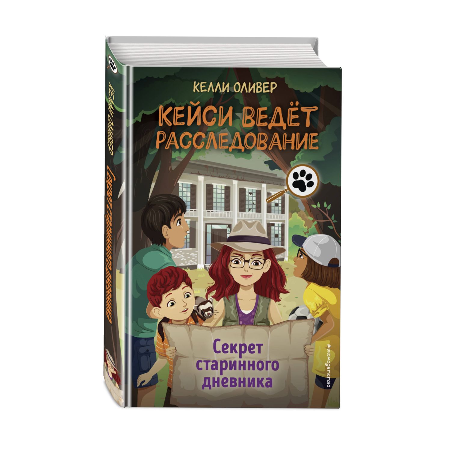 Книга Секрет старинного дневника выпуск 2 - фото 1