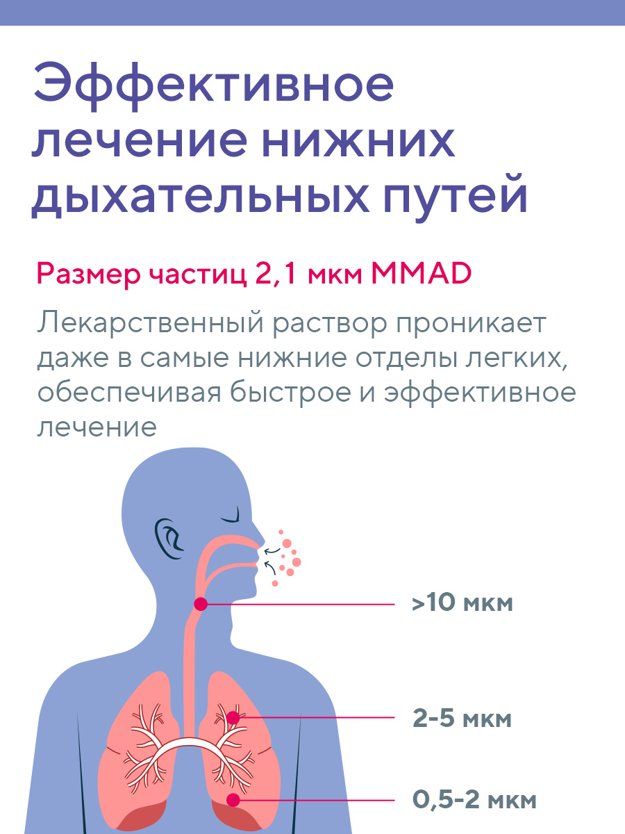 Ингалятор B.Well PRO-100 - фото 6