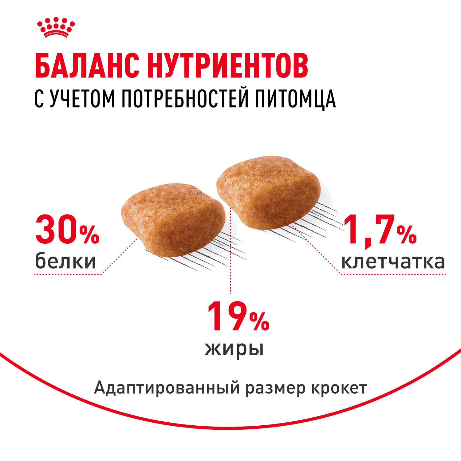 Корм для собак ROYAL CANIN Poodle Adult Пудель Эдалт сухой для взрослых собак породы пудель 1.5кг - фото 4