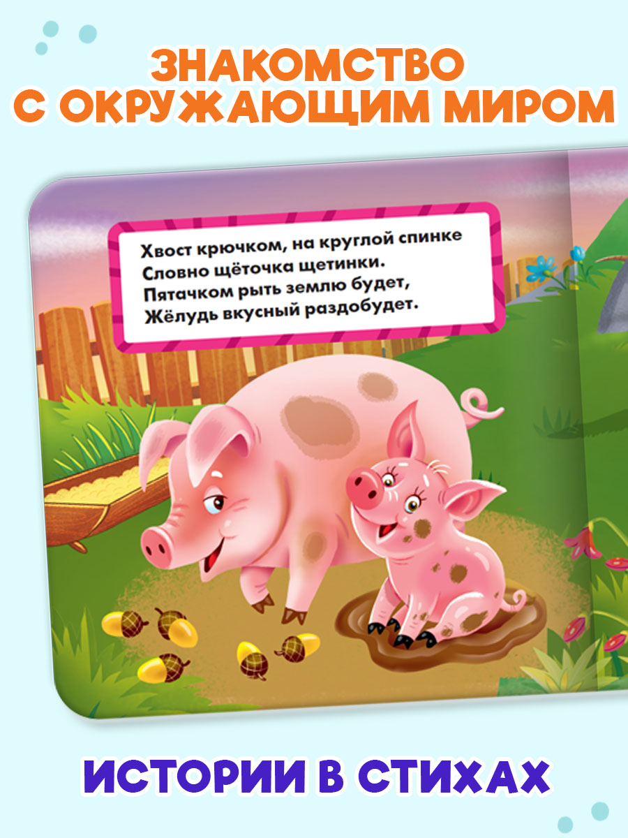 Книжки Проф-Пресс картонные 3 шт. 15х15 см. Домашние животные+мой дом+счёт - фото 3