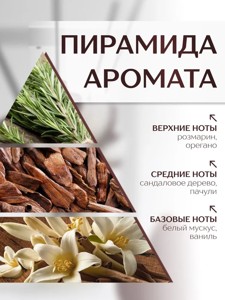Диффузор с сухоцветами в Премиум тубусе Accents Massimo - фото 2